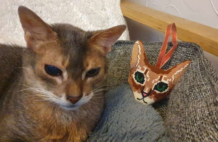 Фотография покупателя товара Вышивка крестиком на пластиковой канве «Важные котики», набор для творчества - Фото 2