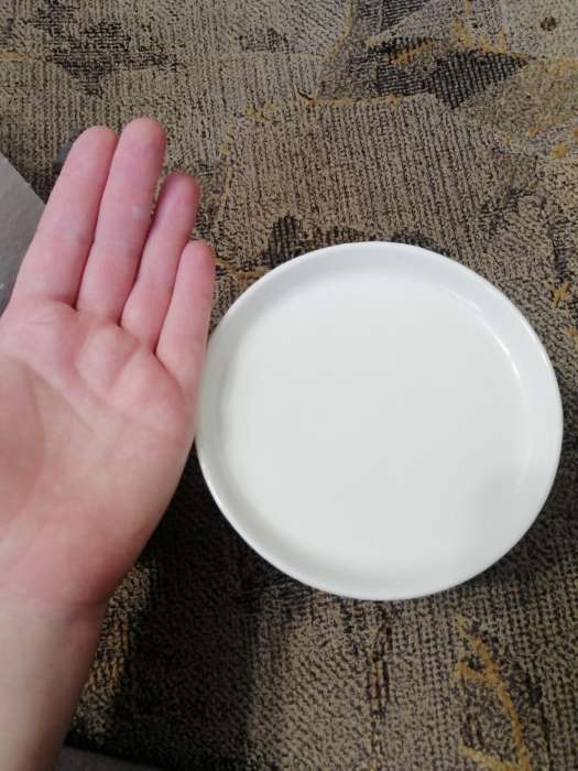 Фотография покупателя товара Блюдо для пирожных «Зайка», 13×12×8 см, цвет белый - Фото 8