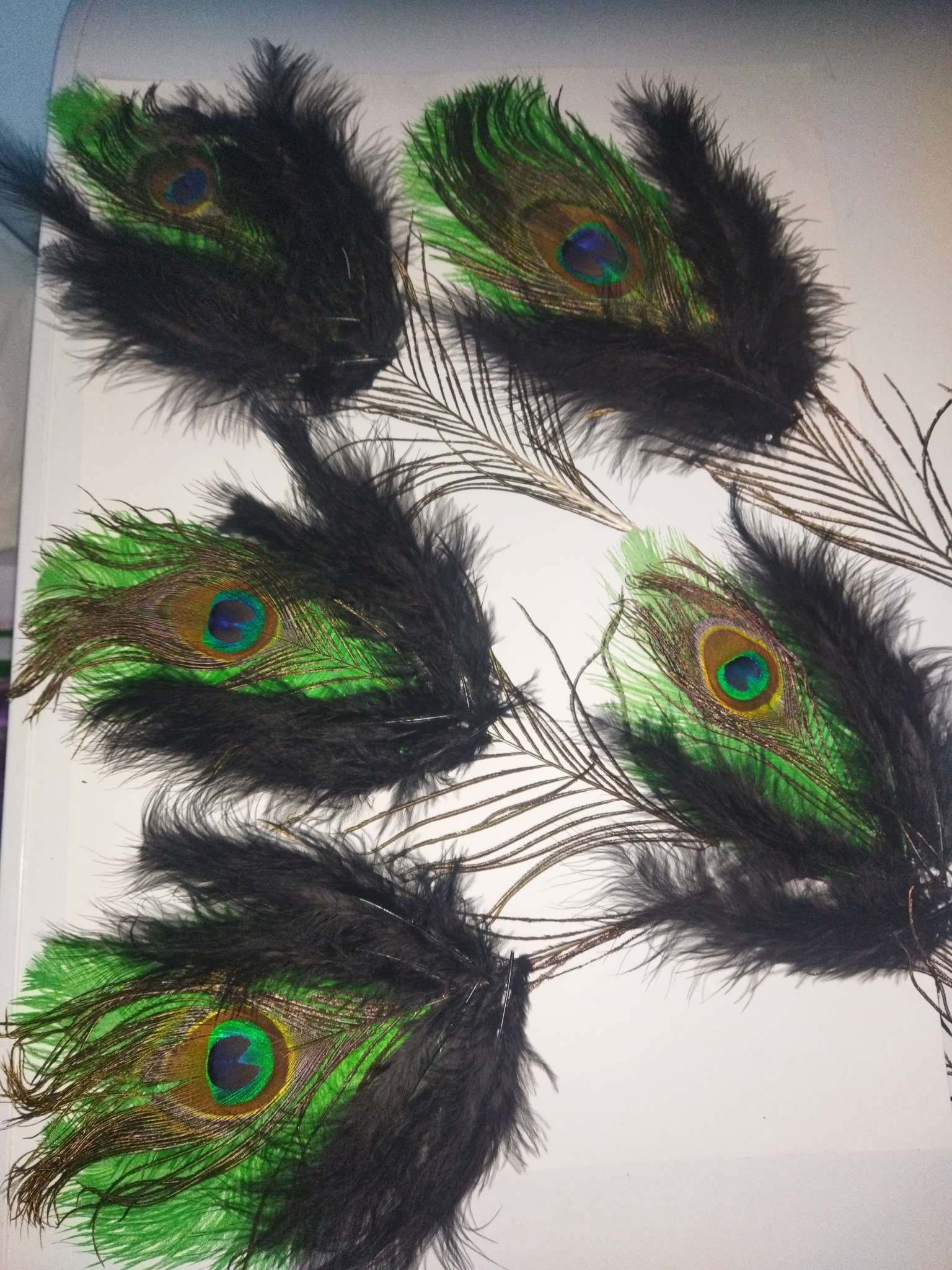 Фотография покупателя товара Набор перьев павлина для декора 2 шт. - Фото 1