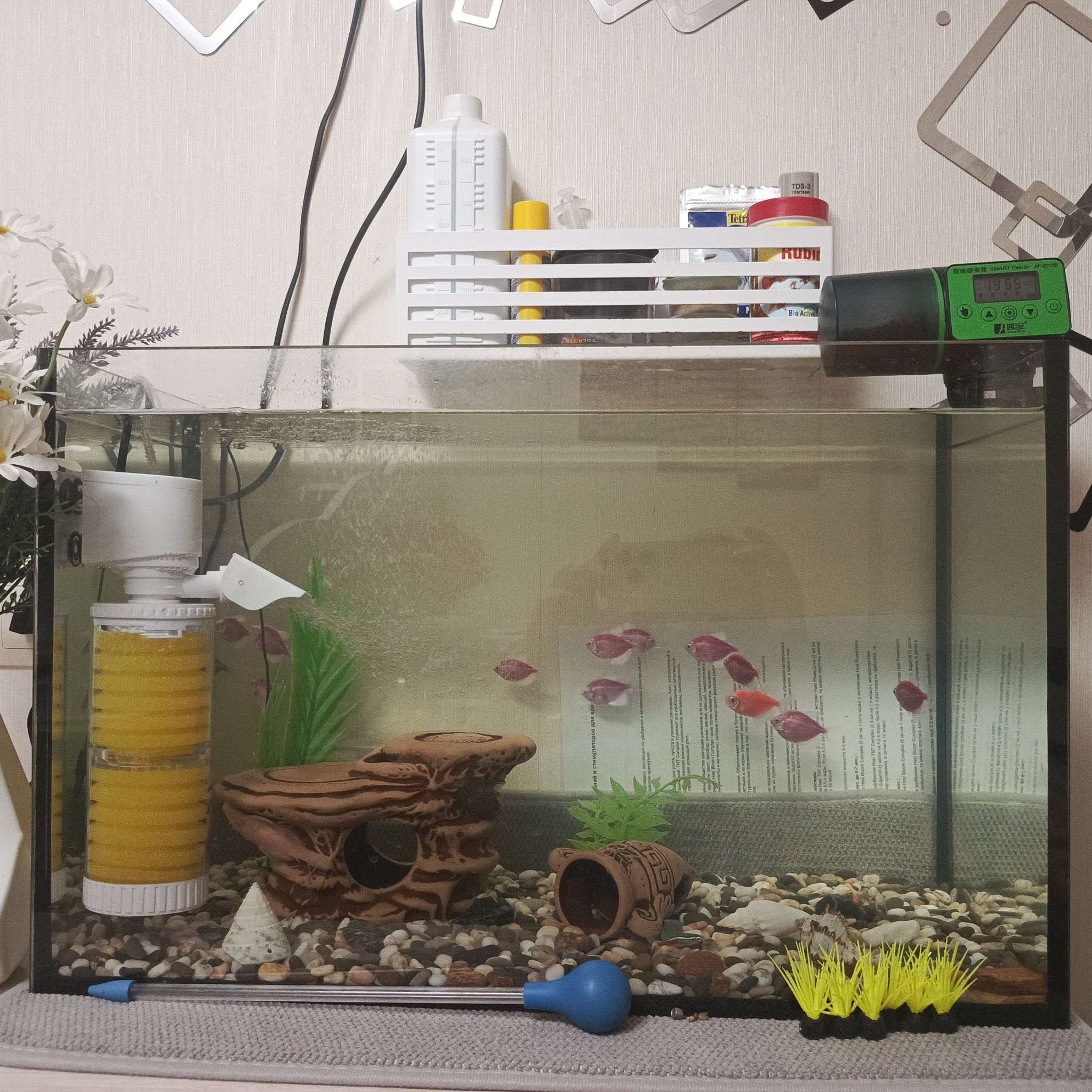 Фотография покупателя товара Аквариум «Прямоугольный» без крышки, 60 л, 56×29×36 см - Фото 2