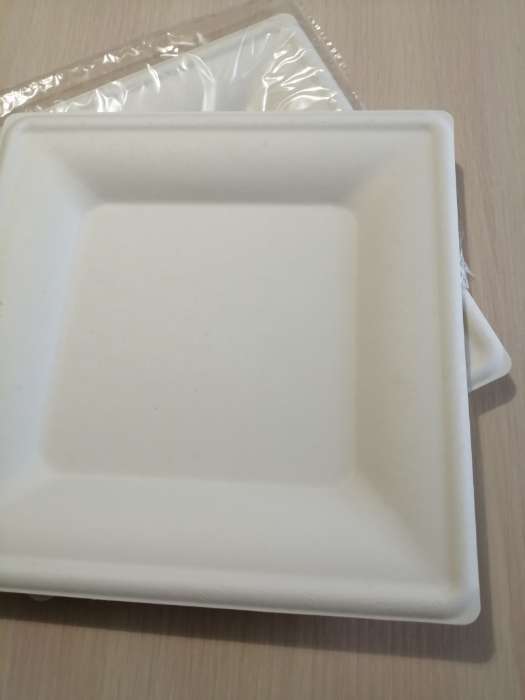 Фотография покупателя товара Тарелка одноразовая квадратная ECO, 26×26 см, сахарный тростник, цвет белый