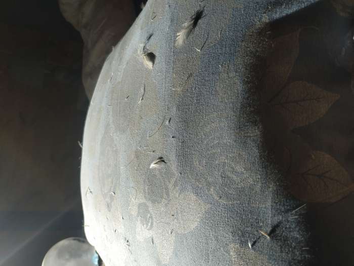 Фотография покупателя товара Подушка высокая Тихий Час пухо-перовая, размер 50×70 см, тик - Фото 24