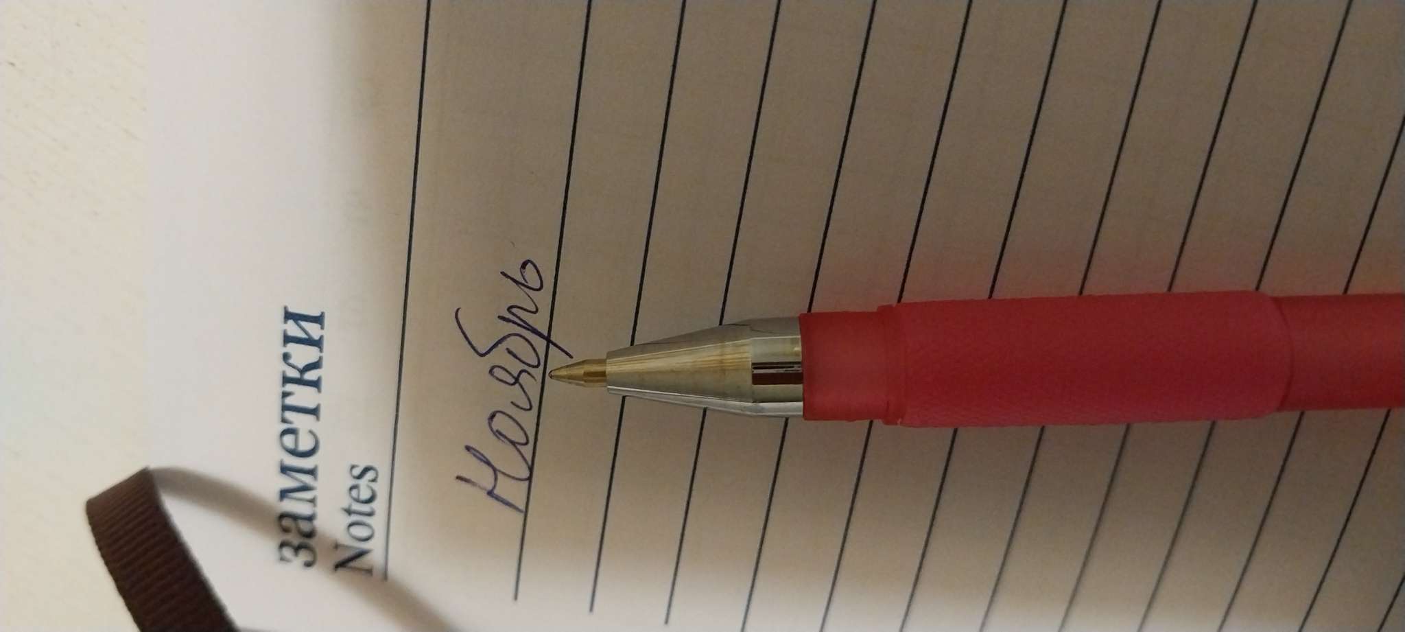 Фотография покупателя товара Ручка шариковая EasyWrite Creative, узел 0.5 мм, синие чернила, матовый корпус Silk Touch, МИКС - Фото 2