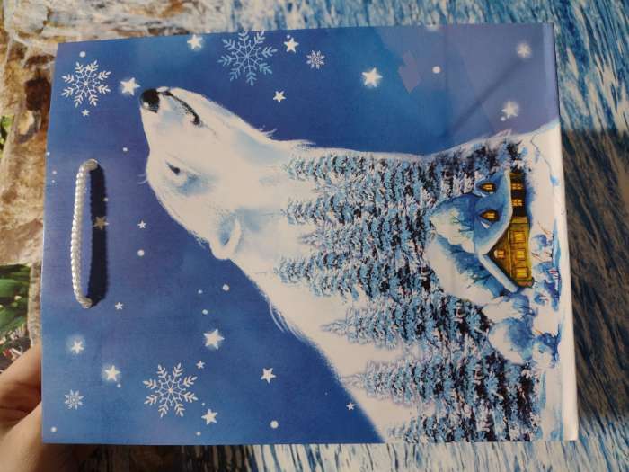 Фотография покупателя товара Пакет подарочный новогодний ламинированный «Снегирь на ветке », 18×22.3×10 см - Фото 11