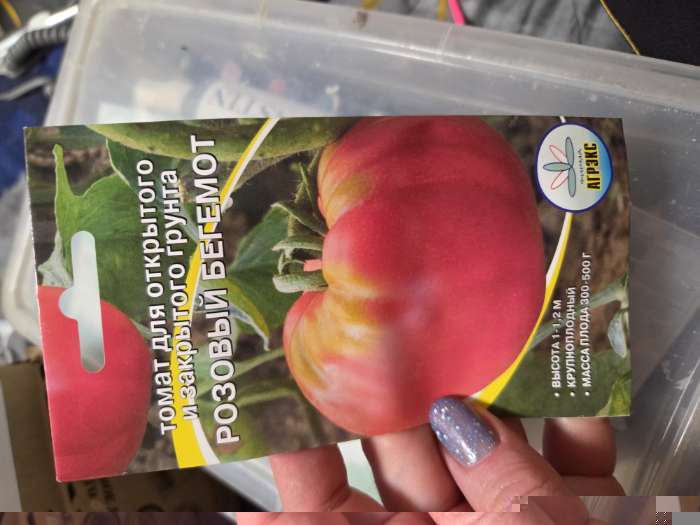 Фотография покупателя товара Семена Томат Розовый бегемот 20 шт - Фото 1