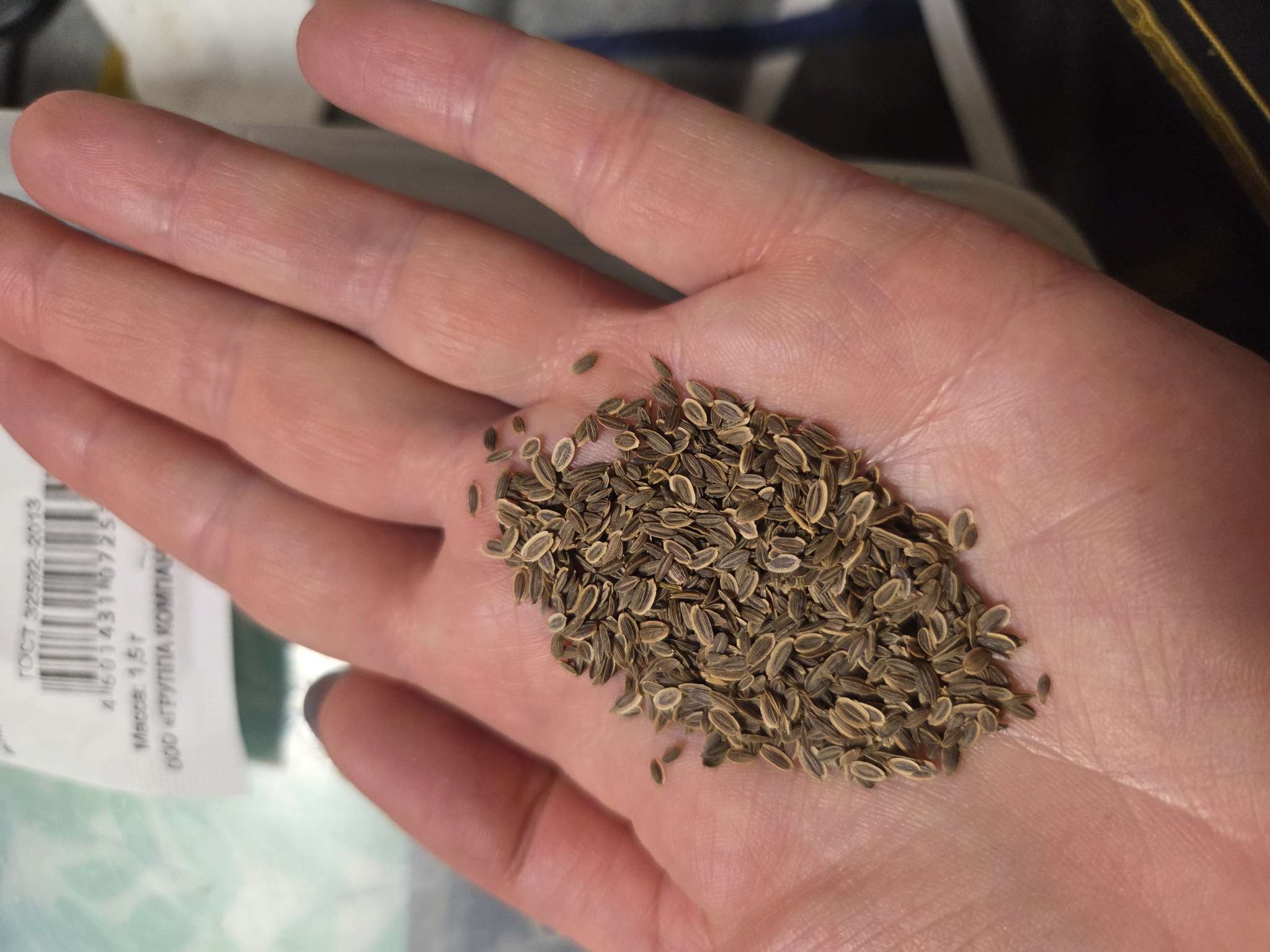 Фотография покупателя товара Семена Укроп "Кибрай", б/п, 1,5 г - Фото 2