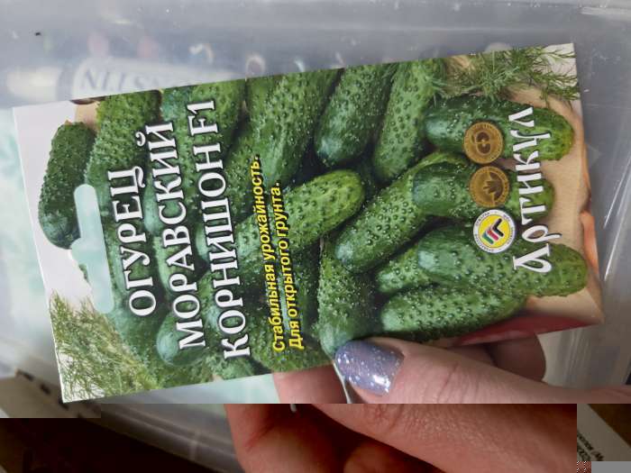 Фотография покупателя товара Семена Огурец «Моравский корнишон F1», 10 шт. - Фото 1