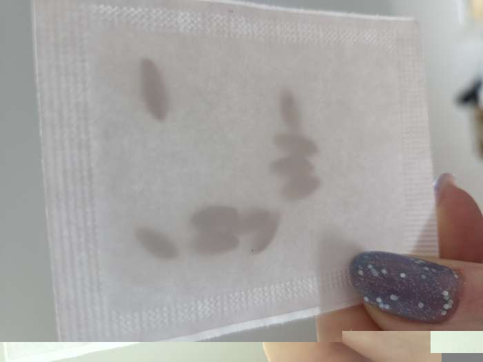 Фотография покупателя товара Семена Огурец «Моравский корнишон F1», 10 шт. - Фото 3