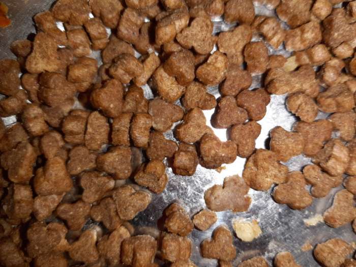 Фотография покупателя товара Сухой корм Tasty для взрослых кошек, говядина, 350 г - Фото 1