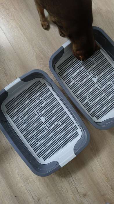 Фотография покупателя товара Туалет с сеткой, 44×33×11.5 см, синий, серый - Фото 2