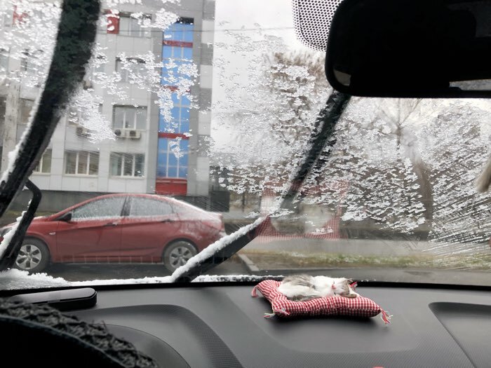 Фотография покупателя товара Игрушка на панель автомобиля, кошка на подушке, бело-серый окрас - Фото 1