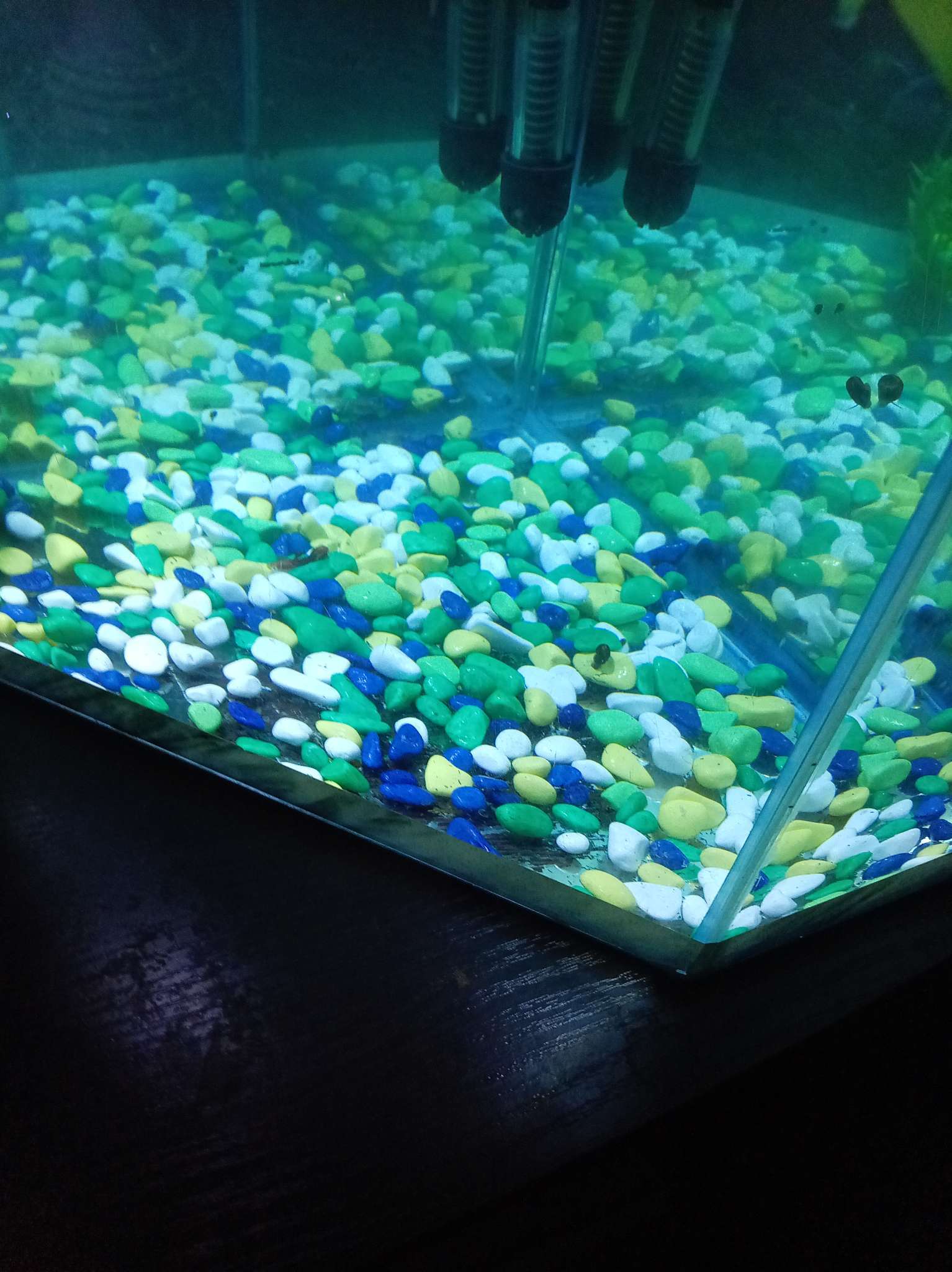 Фотография покупателя товара Грунт для аквариума (5-10 мм), белый/темно-синий/изумрудный, 350 г - Фото 1