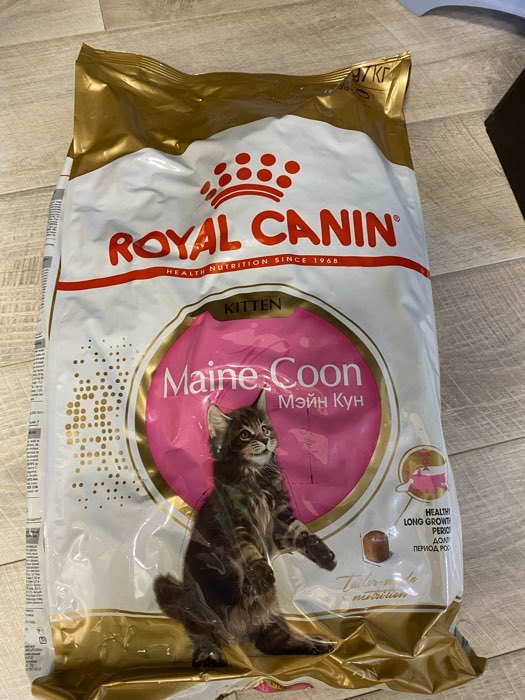 Фотография покупателя товара Сухой корм RC Kitten Maine Coon для котят крупных пород, 10 кг