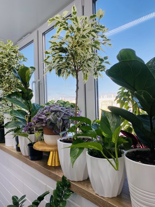 Фотография покупателя товара Кашпо для цветов со вставкой «Флюте», 3 л, белое - Фото 1