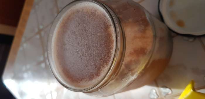 Фотография покупателя товара Мёд алтайский гречишный, натуральный цветочный, 1000 г - Фото 17