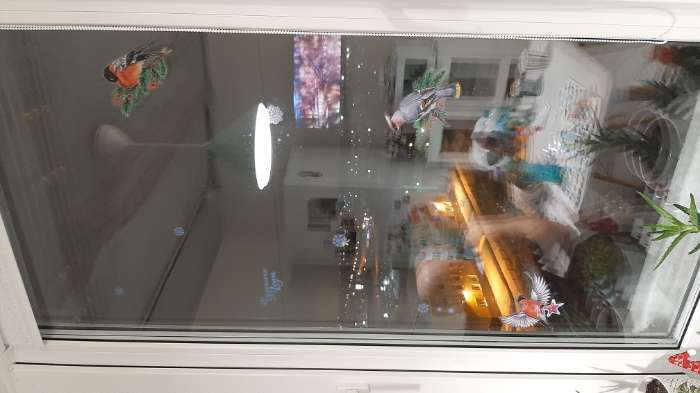 Фотография покупателя товара Наклейки на стекло «Снегири», 20 × 34 см, многоразовые - Фото 5