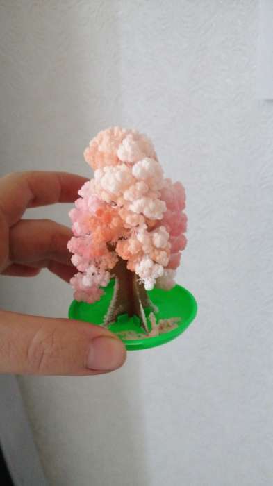 Фотография покупателя товара Набор для выращивания кристалла «Волшебное дерево» цвет красный - Фото 17