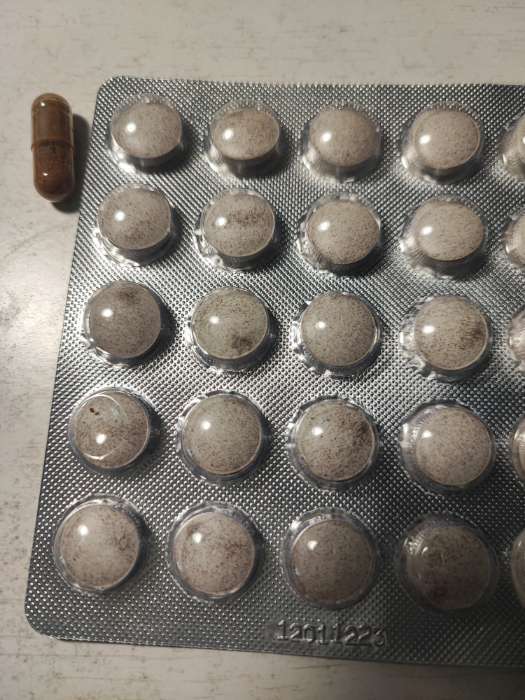 Фотография покупателя товара Чага при язвенной болезни и гастрите, 50 таблеток по 500 мг - Фото 1