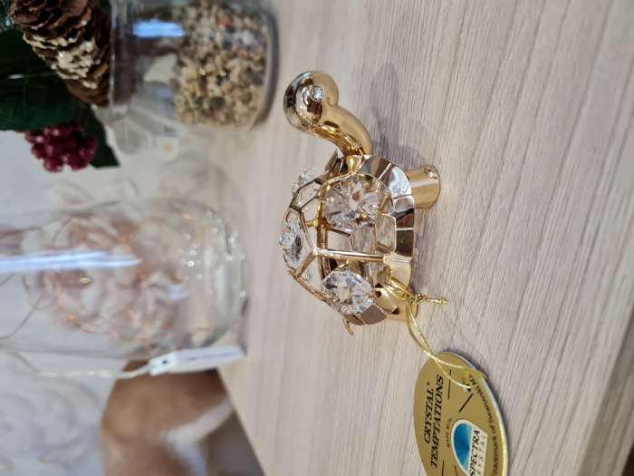 Фотография покупателя товара Сувенир «Черепаха», 6×5×4 см, с кристаллами - Фото 3