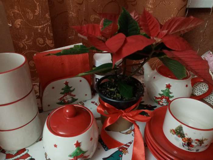 Фотография покупателя товара Чайная пара Доляна «Снеговик», 2 предмета: чашка 210 мл, блюдце d=15 см - Фото 15