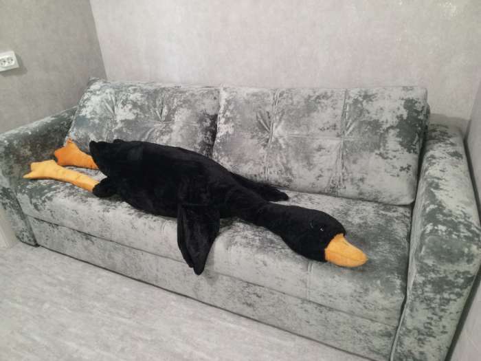 Фотография покупателя товара Диван прямой «Рио», механизм пантограф, ППУ, велюр, цвет симпл 8 - Фото 3