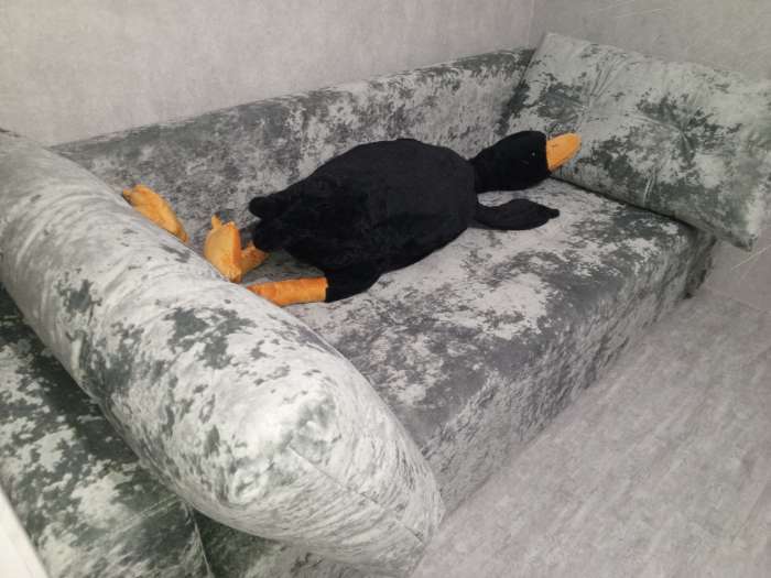 Фотография покупателя товара Диван прямой «Рио», механизм пантограф, ППУ, велюр, цвет симпл 8 - Фото 1