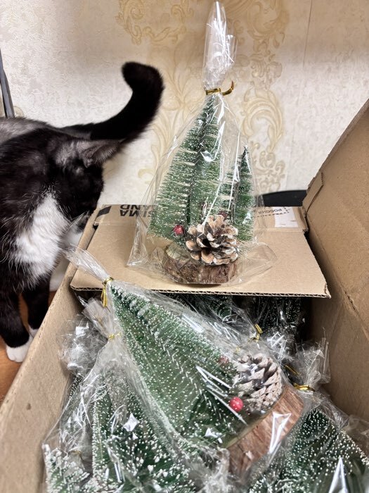 Фотография покупателя товара Декор «Две ёлки с шишкой», на подставке, 8.5×10×16 см - Фото 1