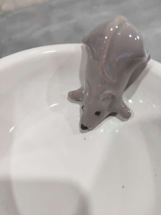 Фотография покупателя товара Миска "Серая мышка", белая, керамика, 0.2 л - Фото 7
