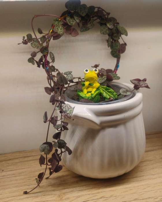 Фотография покупателя товара Фигурка для флорариума полистоун «Лягушонок в листе-лодочке», 4×3.5×3 см - Фото 1