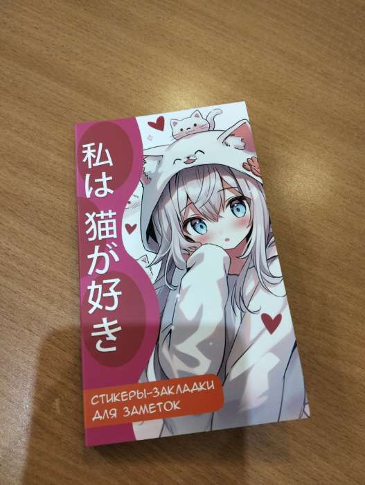 Фотография покупателя товара Стикеры «Аниме девочка с кошкой», 5 блоков, 30 л. - Фото 2