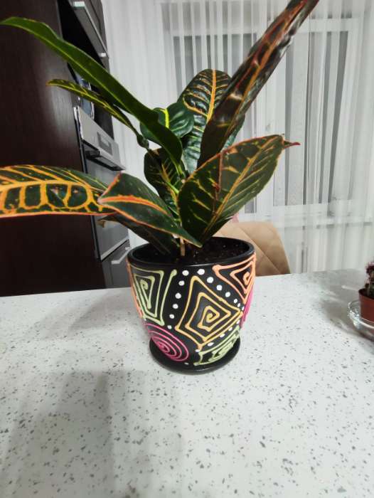 Фотография покупателя товара Горшок для цветов «Радуга», керамический, с поддоном, 1.5 л, коричневый с орнаментом