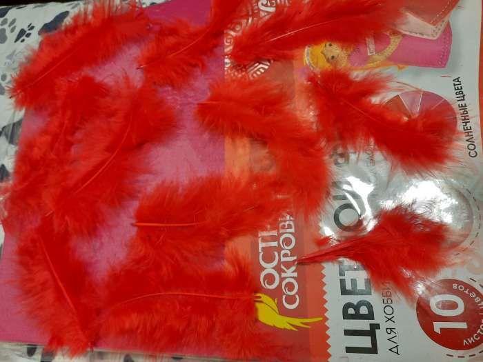 Фотография покупателя товара Набор перьев для декора 10 шт., размер 1 шт: 10 × 2 см, цвет красный
