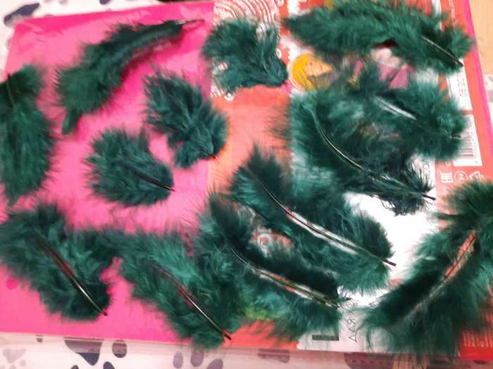 Фотография покупателя товара Набор перьев для декора 10 шт., размер 1 шт: 10 × 2 см, цвет изумрудный