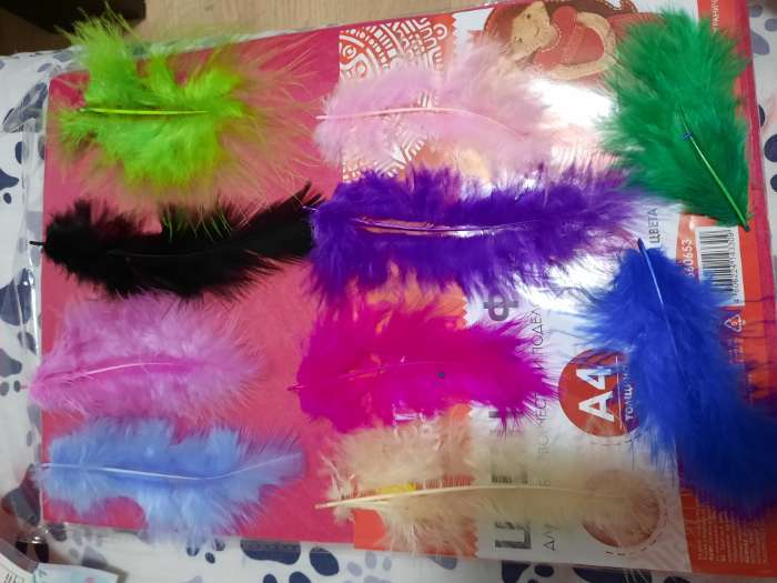 Фотография покупателя товара Набор перьев для декора, набор 10 шт., размер 1 шт: 10×2 см, цвета МИКС - Фото 1