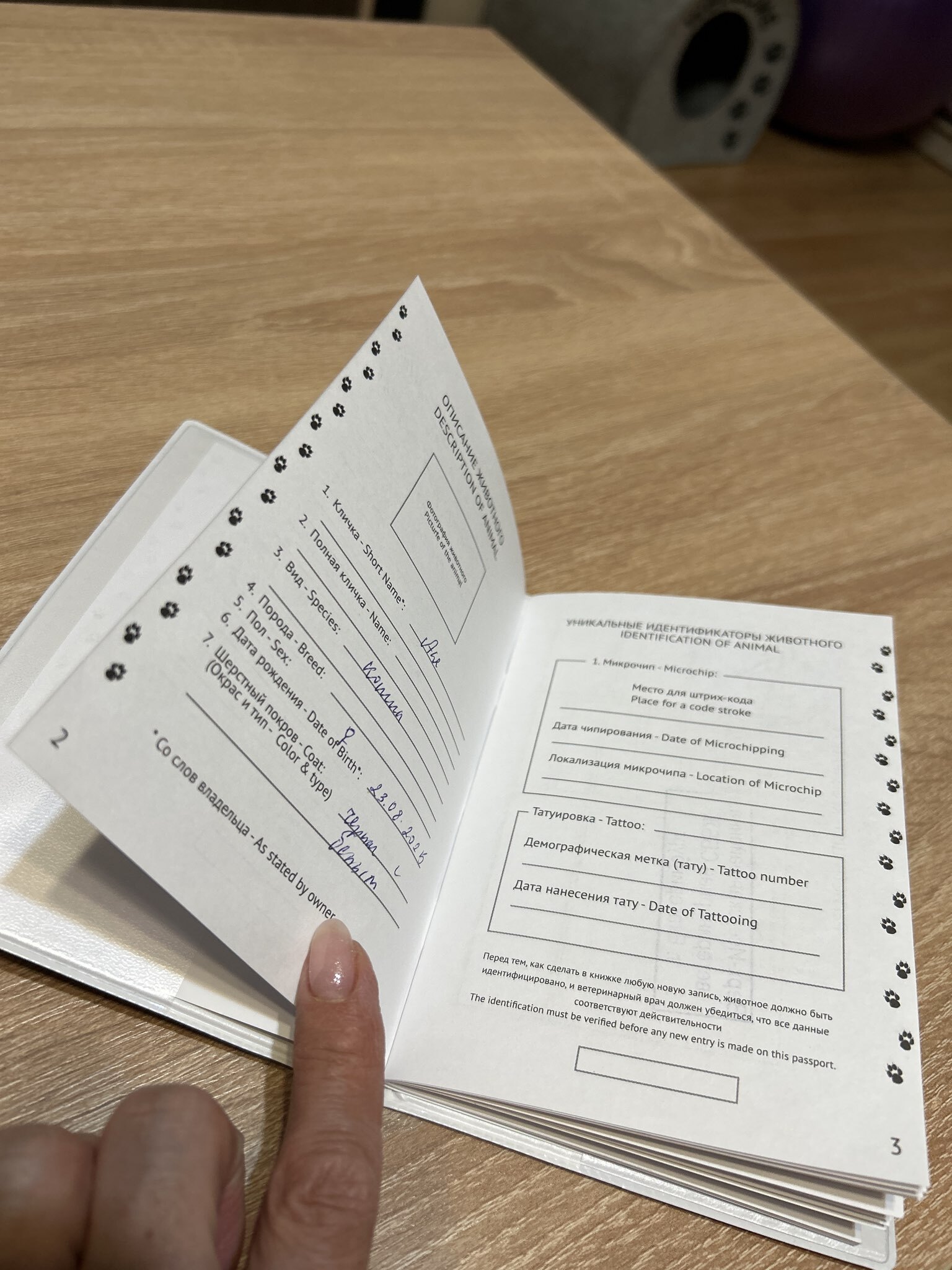 Фотография покупателя товара Обложка на ветеринарный паспорт «Как у хозяина», ПВХ - Фото 2