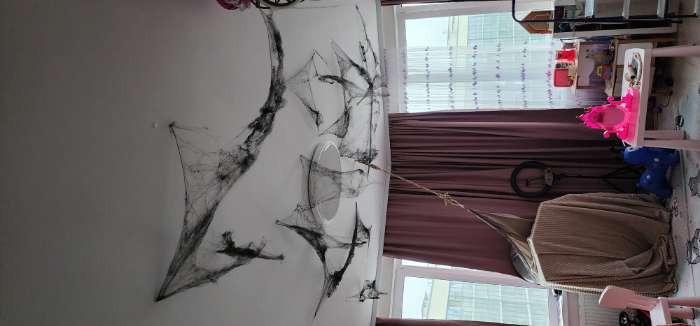 Фотография покупателя товара Прикол «Паутина и 2 паука» - Фото 1