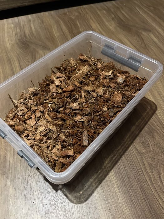 Фотография покупателя товара Чипсы кокосовые, для террариумов и растений, в брикете, 5 л, Greengo - Фото 23