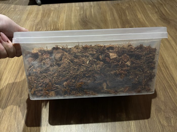 Фотография покупателя товара Чипсы кокосовые, для террариумов и растений, в брикете, 5 л, Greengo - Фото 22