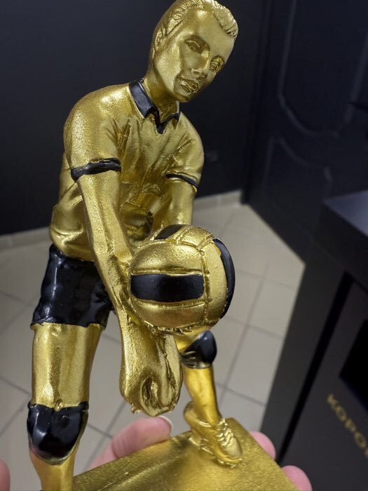 Фотография покупателя товара Кубок наградной с фигуркой «Волейбол: лучший игрок», 15×9×8 см - Фото 2