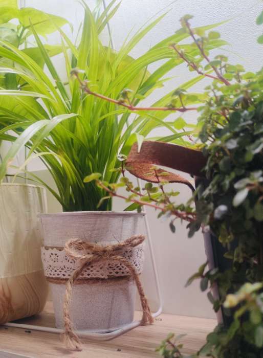 Фотография покупателя товара Кашпо «Ведёрко Линдберг», 10×10×11 см, серое - Фото 2