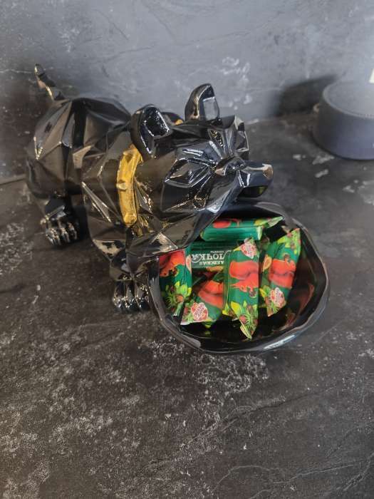 Фотография покупателя товара Подставка для мелочей «Фигурка. Английский бульдог», полистоун, чёрный, 27×17×27 см - Фото 1