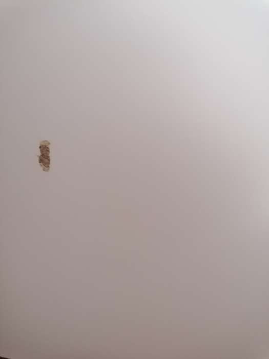 Фотография покупателя товара Шкаф – купе «Бруно 4», 1310×500×2000 мм, цвет дуб вотан/белый гладкий - Фото 19