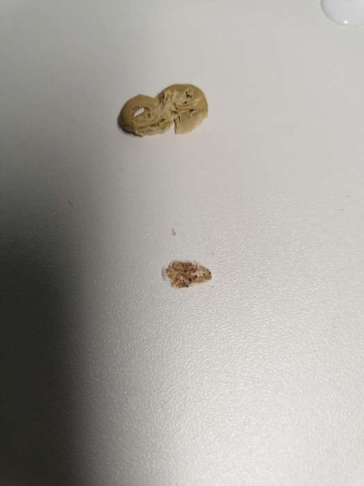 Фотография покупателя товара Шкаф – купе «Бруно 4», 1310×500×2000 мм, цвет дуб вотан/белый гладкий - Фото 20