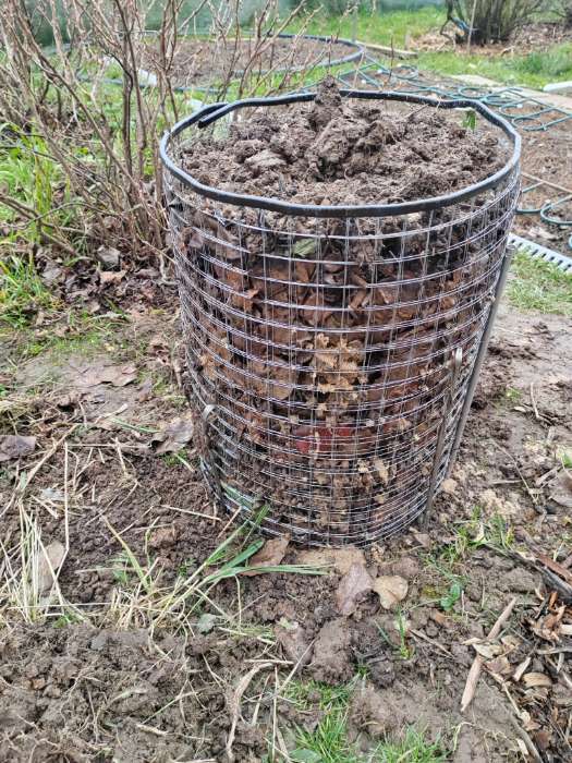 Фотография покупателя товара Сетка оцинкованная, сварная, 10×0.5 м, ячейка 25×25 мм, d=0.7 мм, Greengo - Фото 1