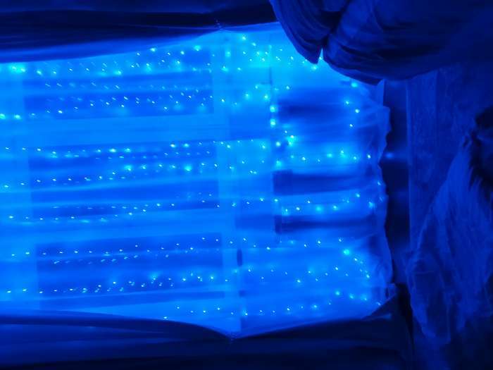 Фотография покупателя товара Гирлянда «Занавес» 2.8 × 3 м роса на крючках, с пультом, IP20, серебристая нить, 300 LED, свечение синее, 8 режимов, USB - Фото 4