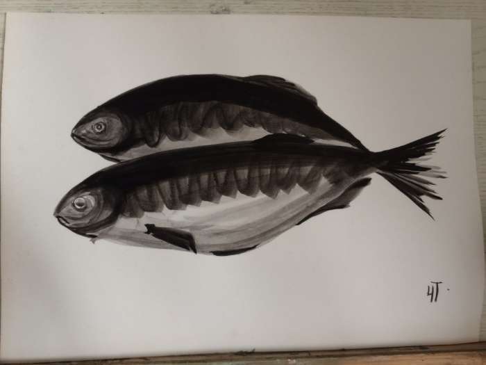 Фотография покупателя товара Соусник Hanna Knövell, 40 мл, 7.6 см, для соевого соуса, фарфор, белый - Фото 1