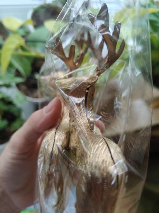 Фотография покупателя товара Ёлочные игрушки 2 шт. «Зимнее волшебство. Благородный олень» пластик, 8×15 см, золото - Фото 95