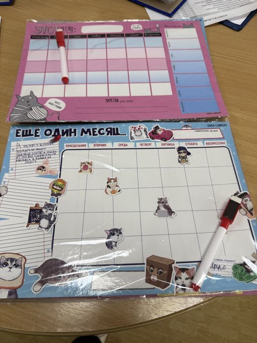 Фотография покупателя товара Магнитный планер А4 и стирающийся маркер «Котики» - Фото 1