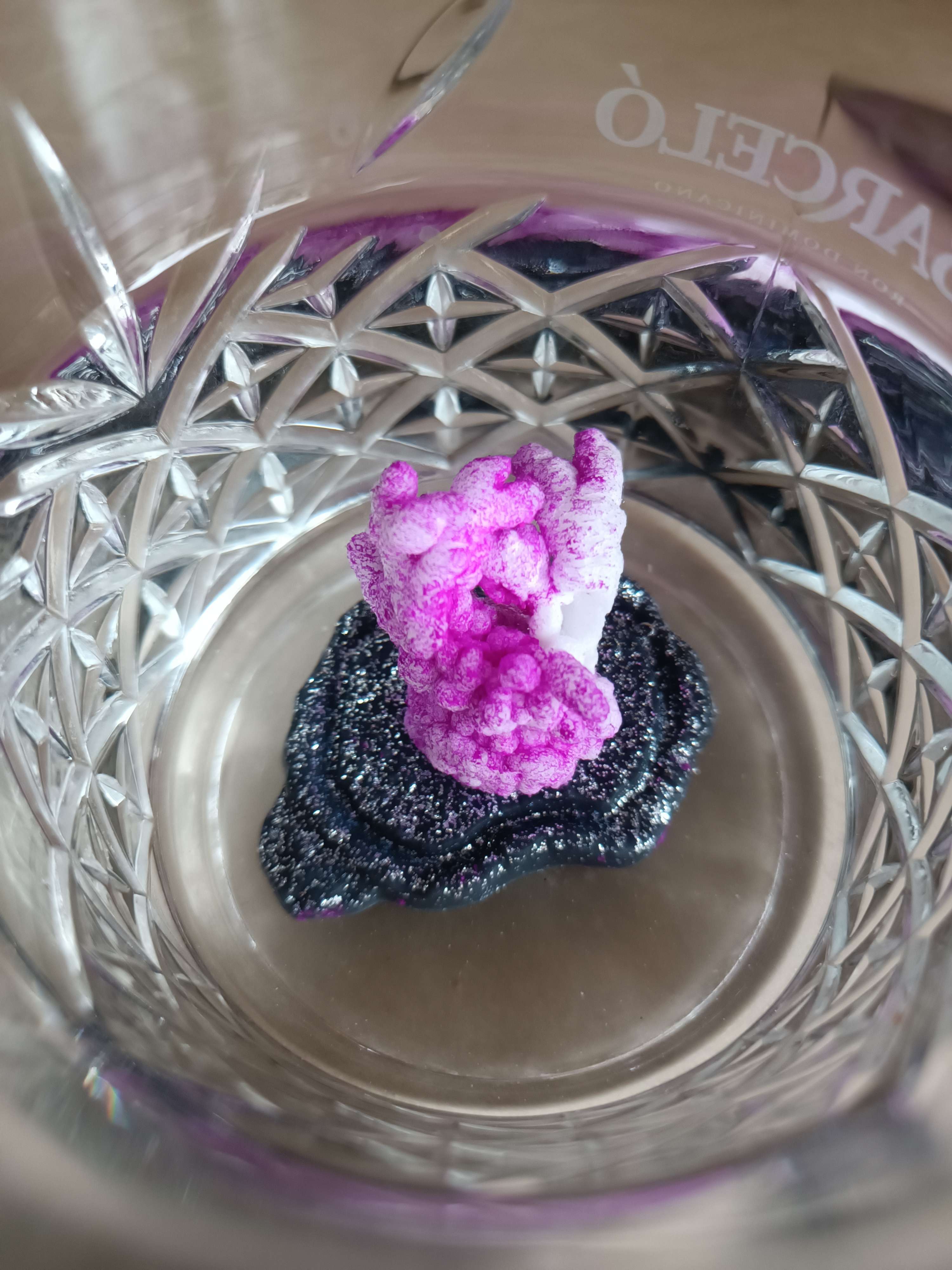 Фотография покупателя товара Набор для опытов «Морская принцесса», колба с цветком и растушка - Фото 1