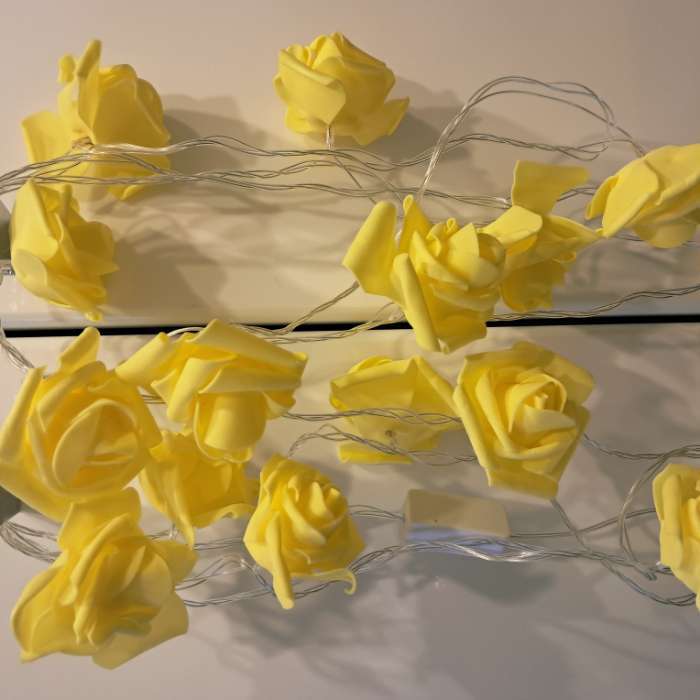 Фотография покупателя товара Гирлянда «Нить» 5 м с насадками «Розы оранжевые», IP20, прозрачная нить, 20 LED, свечение тёплое белое, 220 В - Фото 2